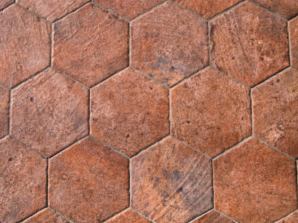 Honeyview_AdobeStock_184297433.jpg